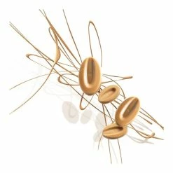 Chocolat de Couverture Blond Dulcey 35% 250g Valrhona 8 Chocolat de Couverture Blond Dulcey 35% 250g Valrhona -Pavoni Shop chocolat de couverture blond dulcey 35 250g valrhona 1