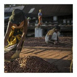 Chocolat de Couverture Noir Millot 74% Bio 250g Valrhona -Pavoni Shop chocolat de couverture noir millot 74 bio 250g valrhona 2