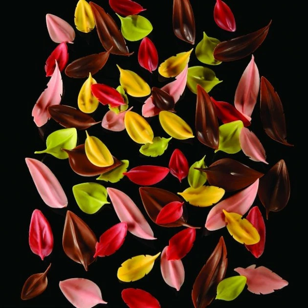 Couteau Inox Feuille 6 x 3 cm Flychoc Pavoni 4 Couteau Inox Feuille 6 x 3 cm Flychoc Pavoni – Image 2