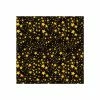 Feuille Transfert Chocolat Etoiles 300x400 mm (x3) Florensuc 1 Feuille Transfert Chocolat Etoiles 300x400 mm (x3) Florensuc -Pavoni Shop feuille transfert chocolat etoiles 300x400 mm x3 florensuc