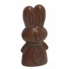 Moule à Chocolat Lapin (x16) Chocolate World 2 Moule à Chocolat Lapin (x16) Chocolate World -Pavoni Shop moule a chocolat lapin x16 chocolate world