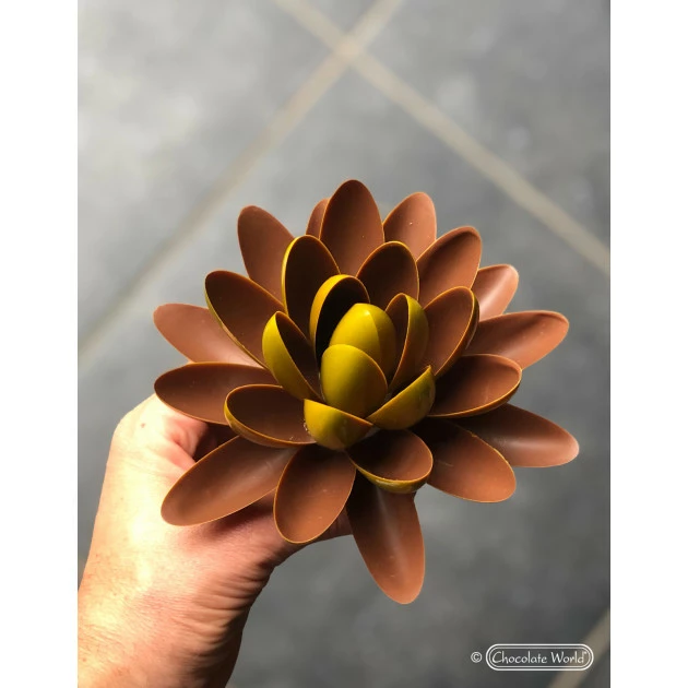 Moule Chocolat Lentille Oblique 62,5 mm (x14) Chocolate World Moule Chocolat Lentille Oblique 62,5 mm (x14) Chocolate World -Pavoni Shop moule chocolat lentille oblique 625 mm x14 chocolate world 2