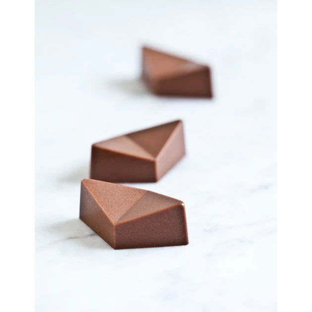 Moule Chocolat Praline Tropicale Buddy Trinidad (x21) Chocolate World 4 Moule Chocolat Praline Tropicale Buddy Trinidad (x21) Chocolate World – Image 2