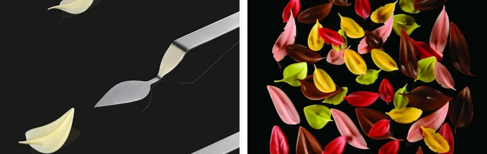 Pavoni Shop 1 Pavoni Shop -Pavoni Shop 未命名Pavoni1